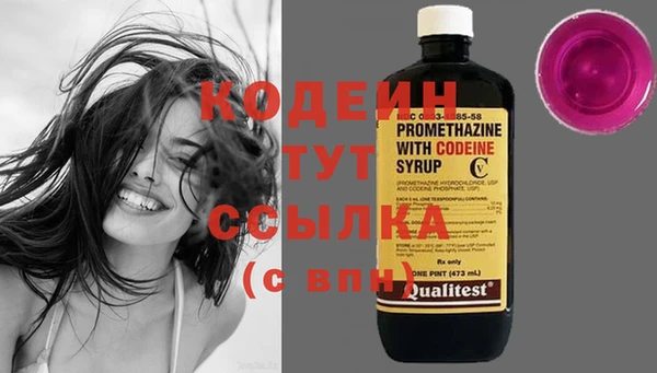 шишки Михайловск