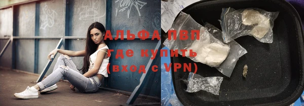 шишки Михайловск