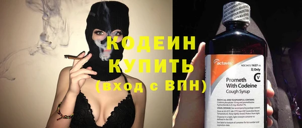 шишки Михайловск