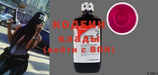 шишки Михайловск