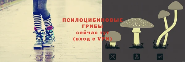 соль ск Михайловка