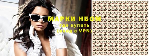 шишки Михайловск