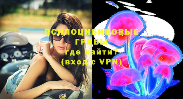 шишки Михайловск