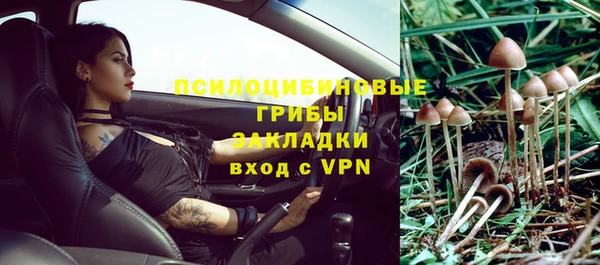 соль ск Михайловка