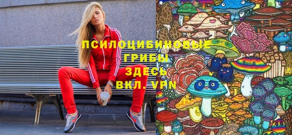 PSILOCYBIN Аксай
