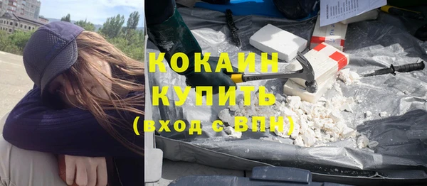 шишки Михайловск